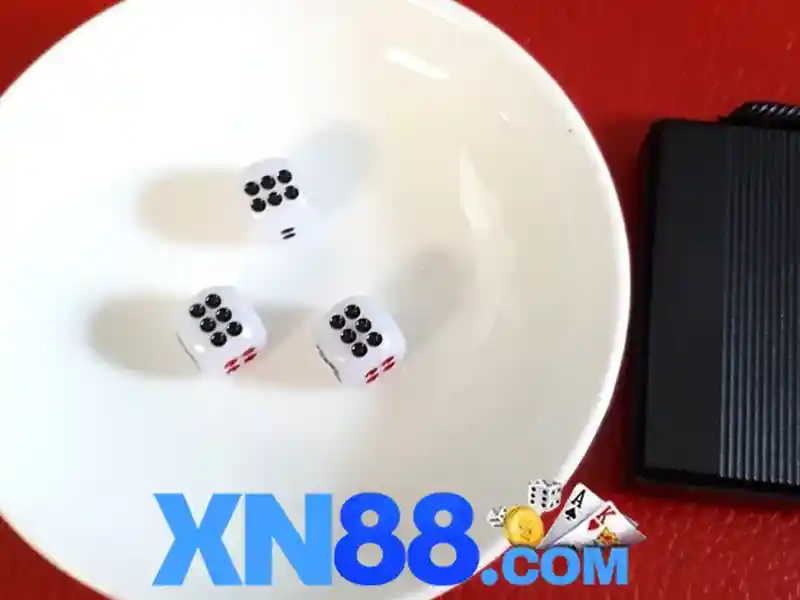 Giới thiệu về XN88 Giới thiệu về XN88