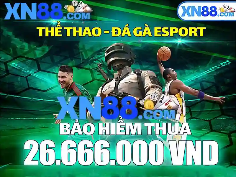 Giao diện người dùng và trải nghiệm