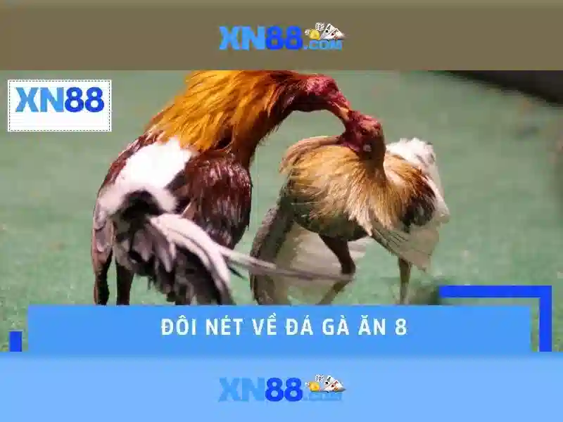 nhà cái xn88 – tổng quan chủ đề và giá trị cốt lõi-