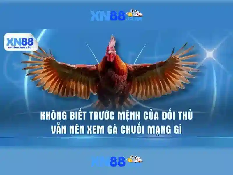 Xn88: nền tảng cược trực tuyến nổi bật