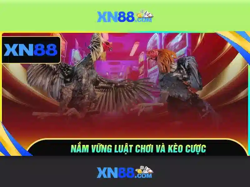 Khung công nghệ và chức năng Khung công nghệ và chức năng