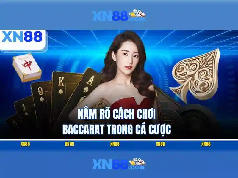 Cộng đồng và hỗ trợ người dùng