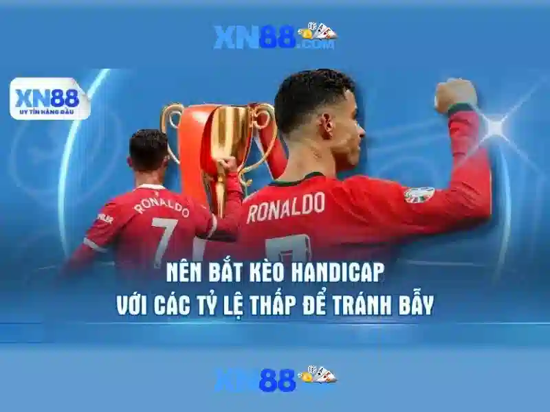Các tính năng nổi bật Các tính năng nổi bật
