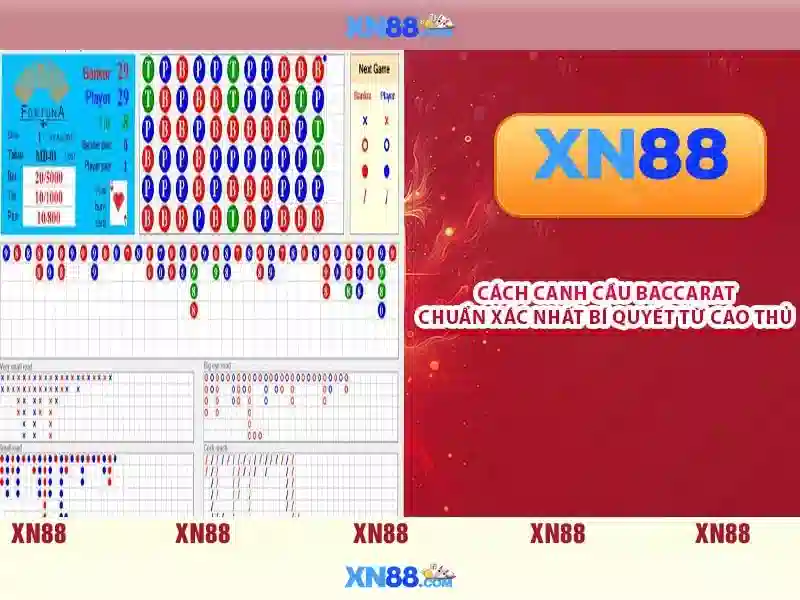 Lịch sử và nguồn gốc của xn88