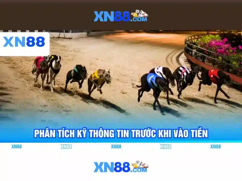 xn88: Nền tảng trò chơi trực tuyến và giải trí