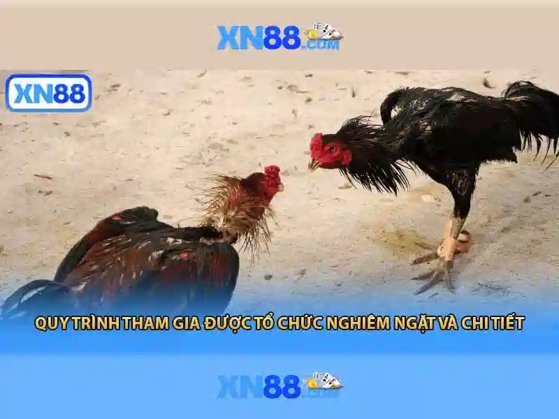 Mẹo chơi bắn cá 3 cây dễ ăn tiền nhà cái