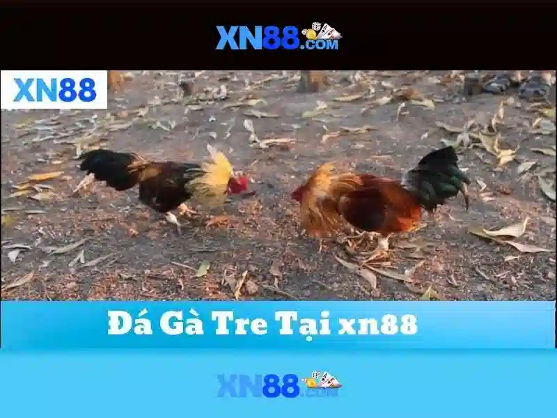 Khuyến mãi và thanh toán Khuyến mãi và thanh toán
