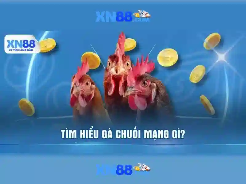 Giải thích xn88: Nền tảng giải trí và cá cược trực tuyến