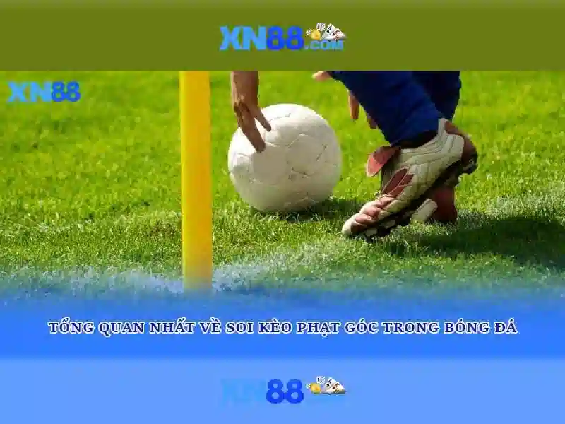 Nền tảng và tính năng Nền tảng và tính năng