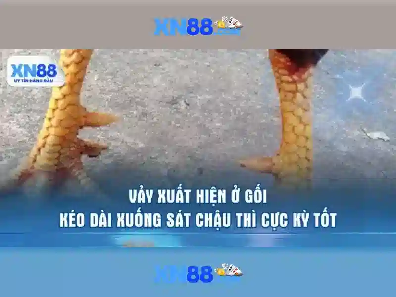 Mẹo chơi bắn cá 3 cây dễ ăn tiền nhà cái