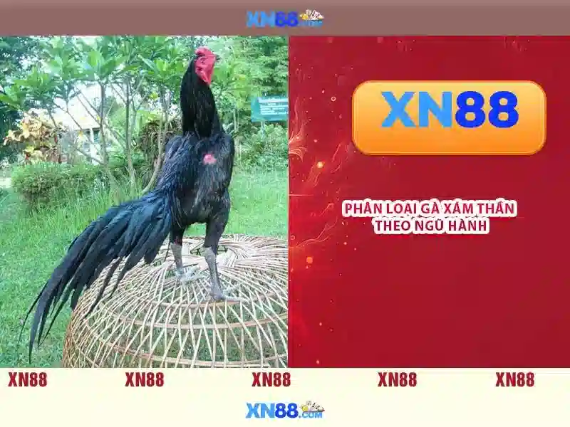 Cộng đồng và hỗ trợ khách hàng Cộng đồng và hỗ trợ khách hàng