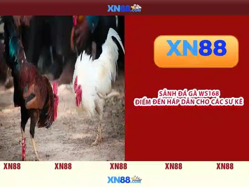 Cài đặt và đăng ký xn88