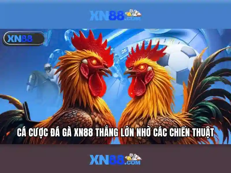 Hướng dẫn tham gia và nhận thưởng