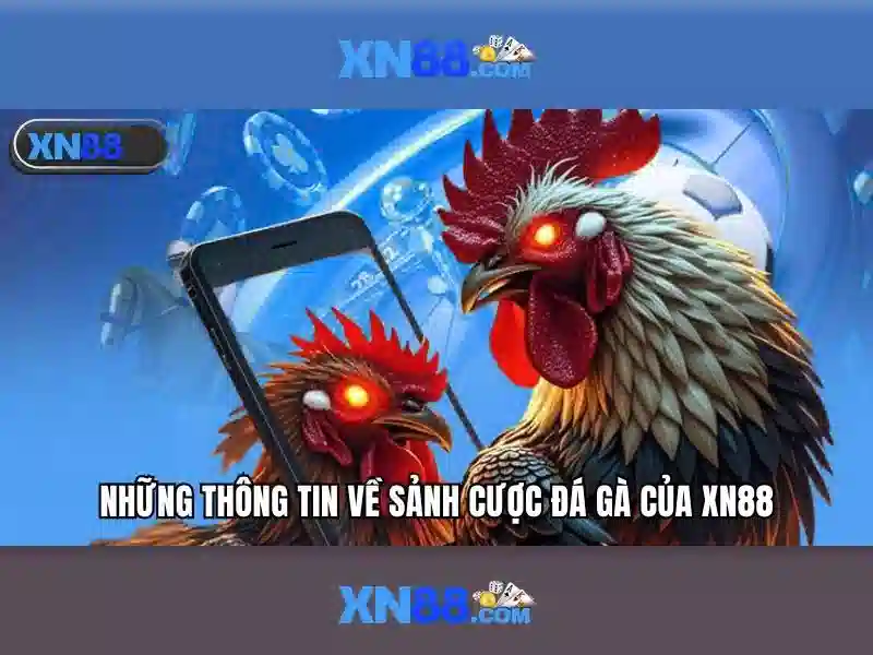 Hướng dẫn nhanh cho người mới