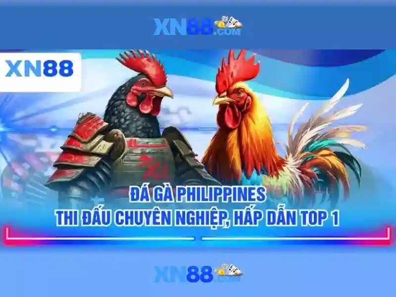 Gioi thieu ve xn88: Nen tang giai tri truc tuyen