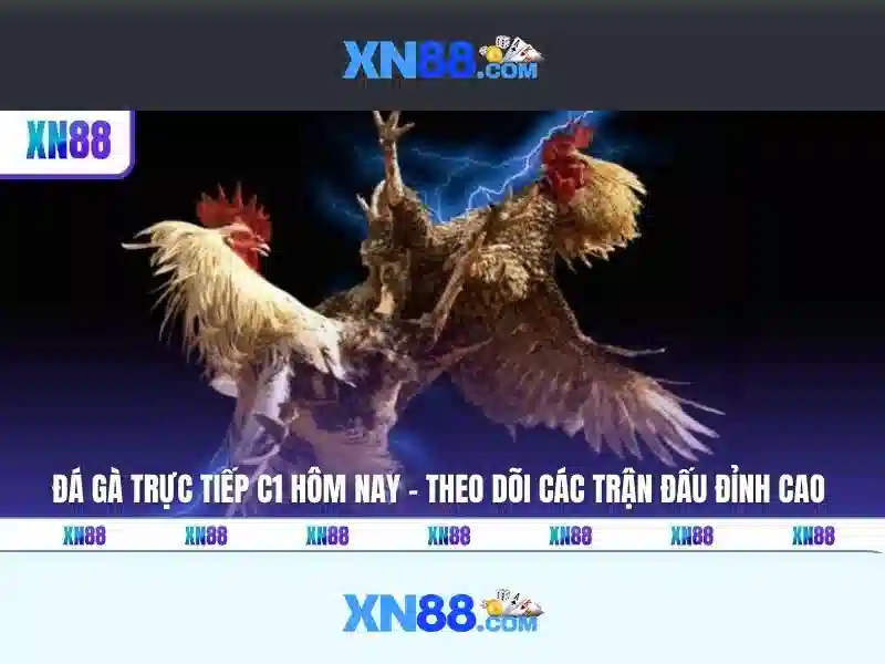 xn88 casino thai - tổng quan, trải nghiệm và đánh giá