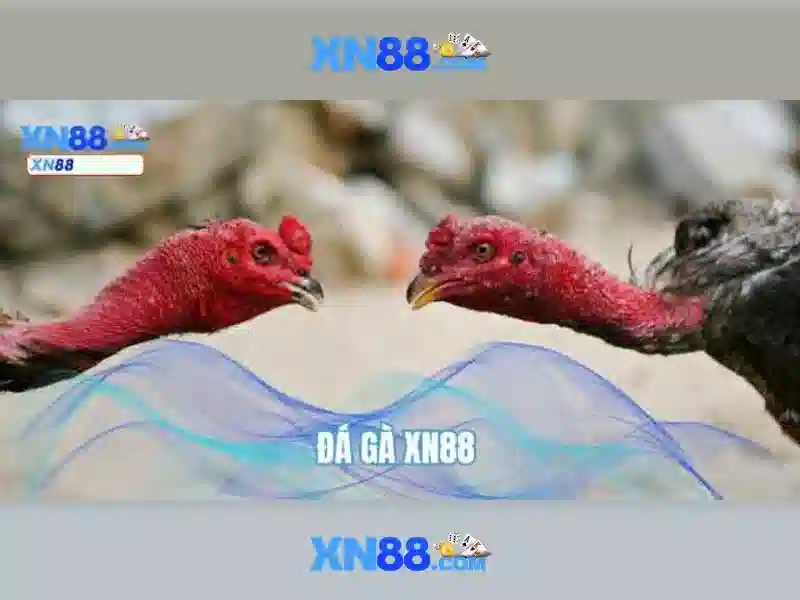 xn88: Tổng quan và trải nghiệm tại Việt Nam