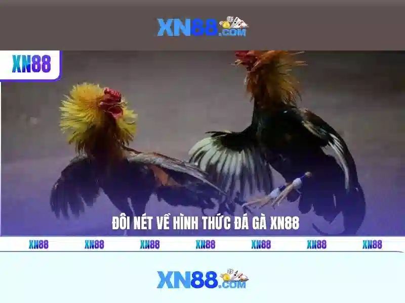 Khuyến mãi và chương trình thưởng Khuyến mãi và chương trình thưởng