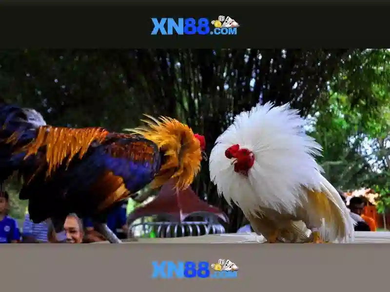 xn88: Trải nghiệm chơi casino trực tuyến an toàn và thú vị