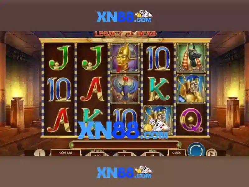 Lĩnh vực hoạt động của xn88