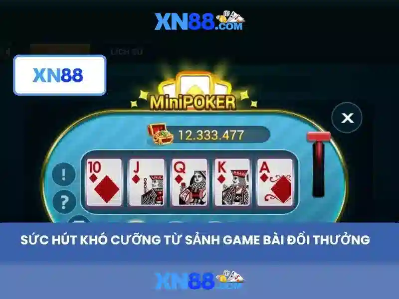 Phản hồi người dùng và cộng đồng