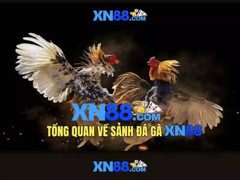 Bảo mật và an toàn cho người dùng