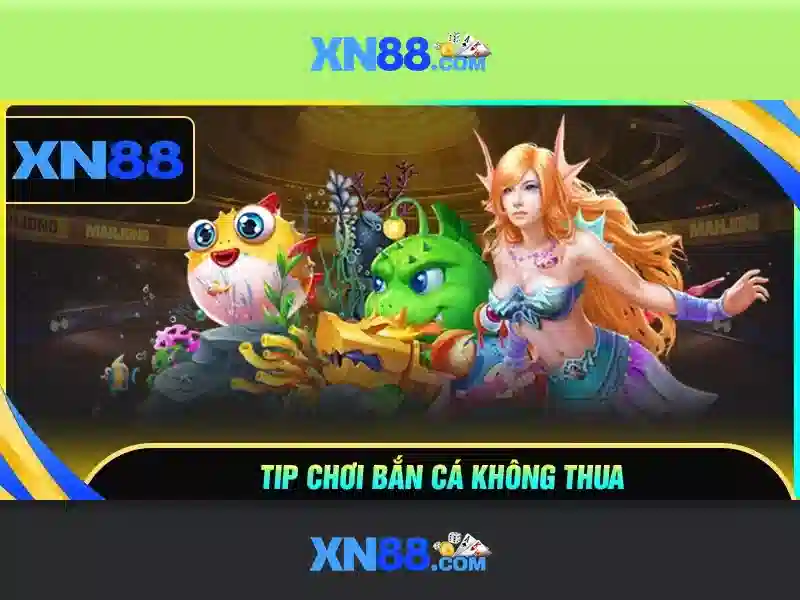 Giới thiệu về XN88