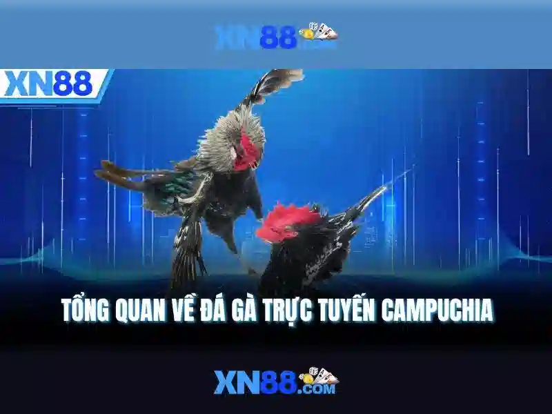 XN88: Nền tảng trò chơi trực tuyến và cộng đồng người chơi