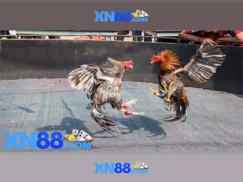 An toàn và hỗ trợ người dùng