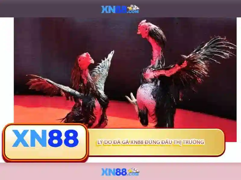 Lịch sử và phát triển của XN88 Lịch sử và phát triển của XN88