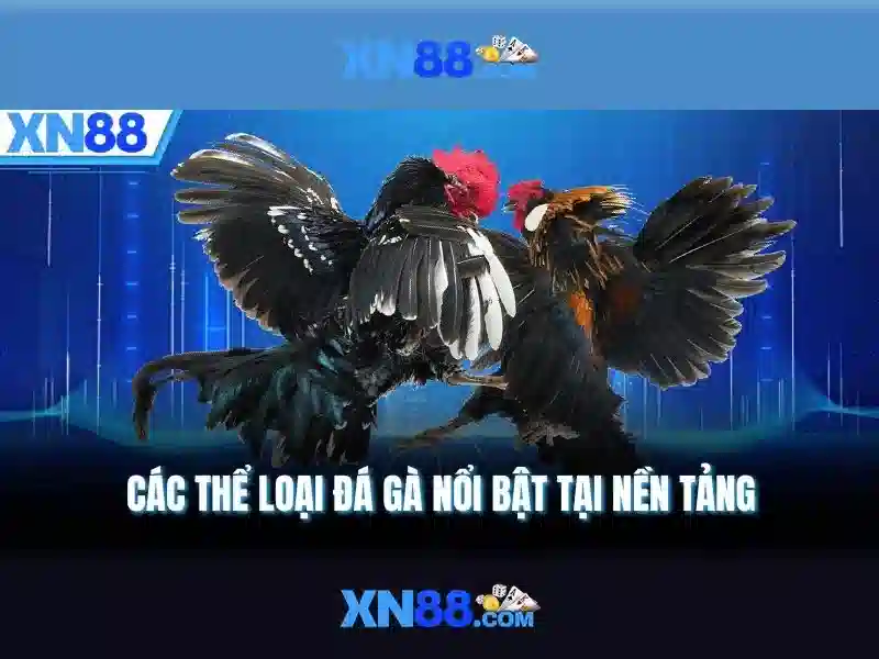 Hướng dẫn tham gia và mẹo quản lý ngân sách