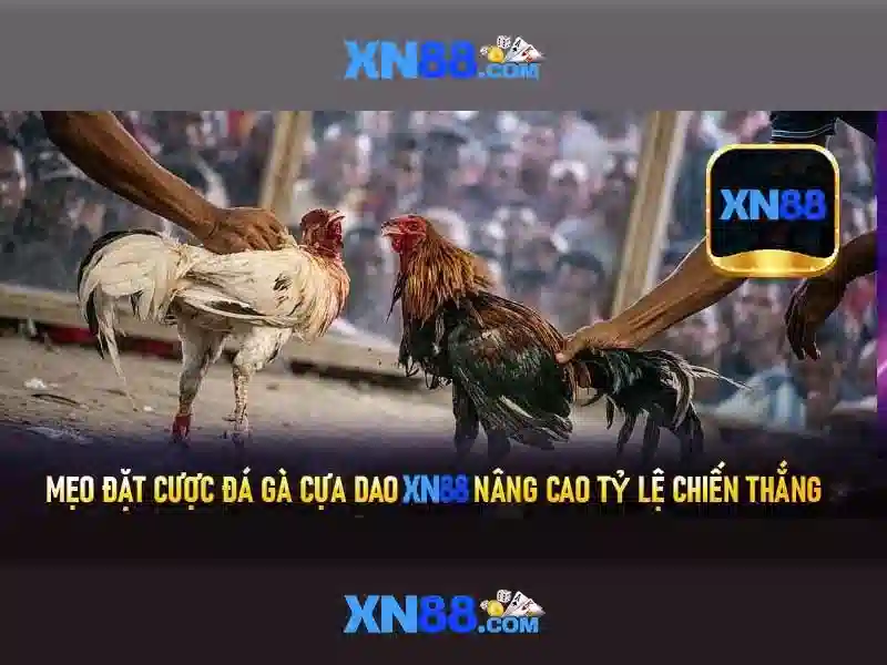 Tính năng nổi bật của XN88