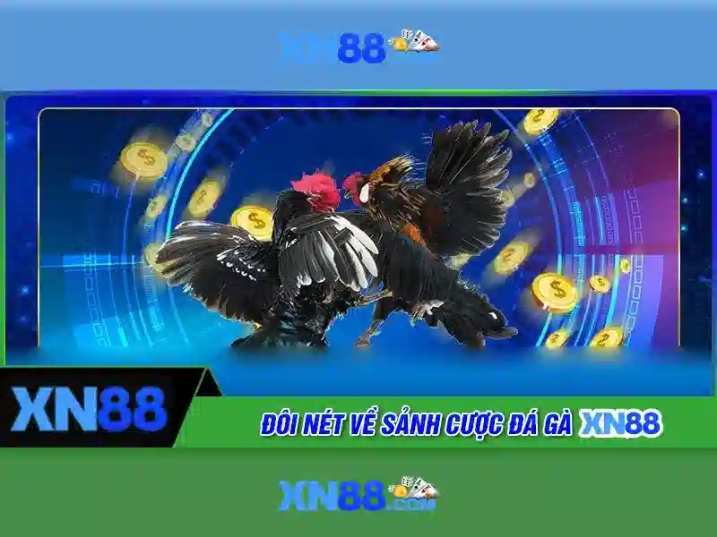XN88: Nền tảng trò chơi trực tuyến và những điều bạn cần biết