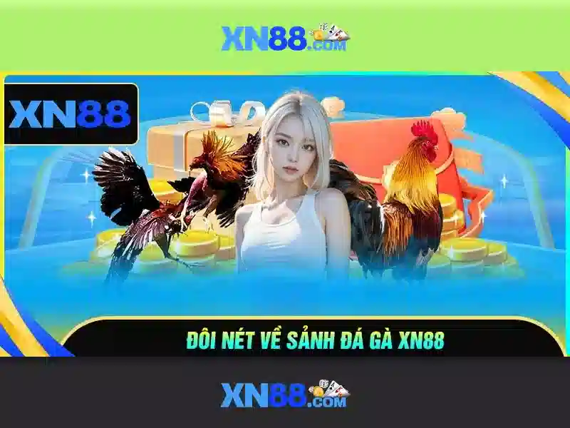 xn88 là gì và tại sao nổi bật