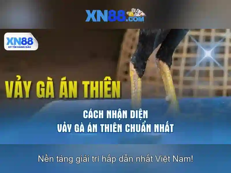 xn88: Nền tảng giải trí trực tuyến đa dạng