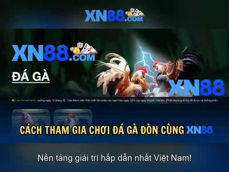 Trải nghiệm người dùng và đánh giá Trải nghiệm người dùng và đánh giá