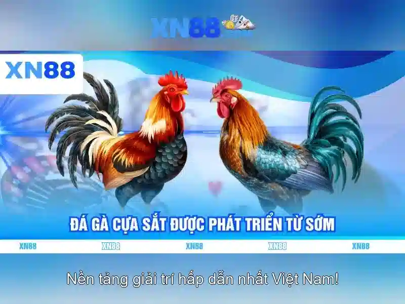 Giới thiệu về xn88 Giới thiệu về xn88
