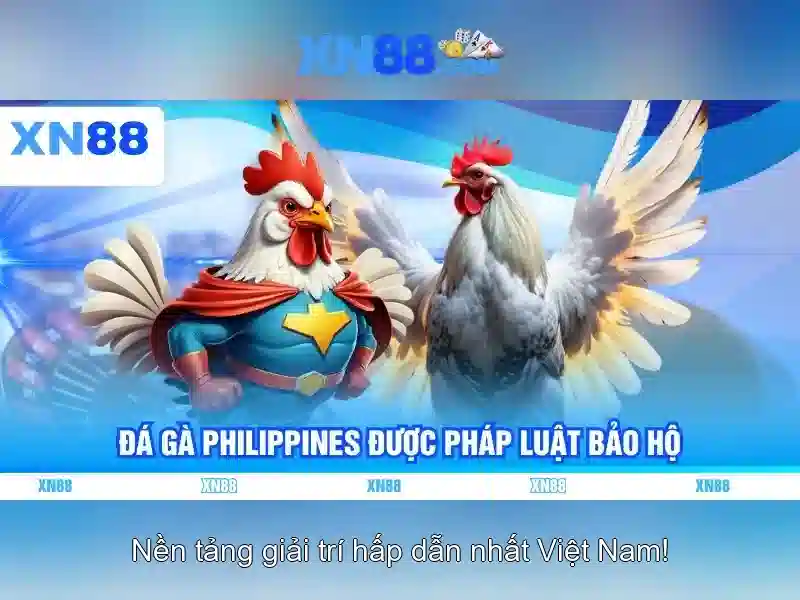 Đặc điểm nổi bật của xn88