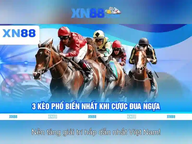 Hướng dẫn đăng ký và tham gia Hướng dẫn đăng ký và tham gia