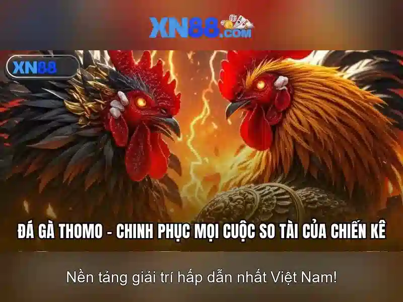 Đánh giá người dùng và cộng đồng xn88 Đánh giá người dùng và cộng đồng xn88