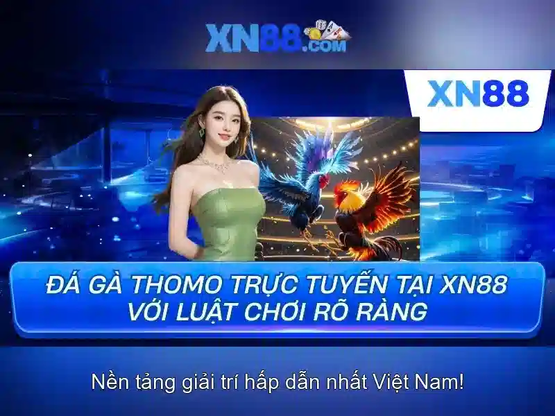 xn88 - Tổng quan về nền tảng giải trí trực tuyến