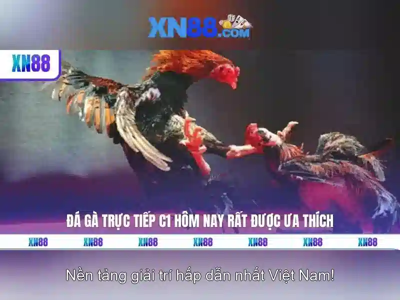 Mẹo chơi bắn cá 3 cây dễ ăn tiền nhà cái