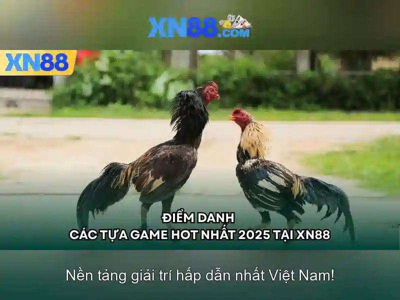 Giới thiệu về xn88