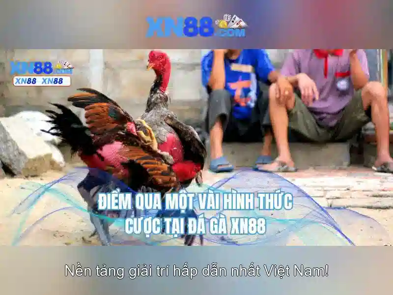 xn88 c – chủ đề và giá trị cốt lõi xn88 c – chủ đề và giá trị cốt lõi