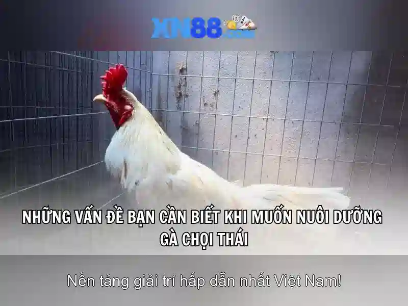 Danh mục sản phẩm và dịch vụ