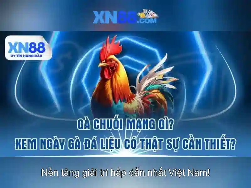 xn88: Tổng quan về một nền tảng trực tuyến