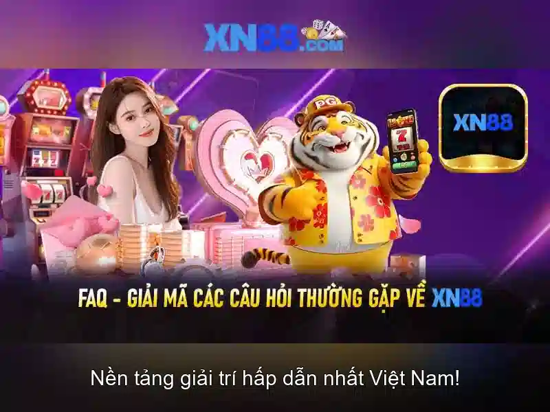 Đánh giá từ người dùng và cộng đồng Đánh giá từ người dùng và cộng đồng