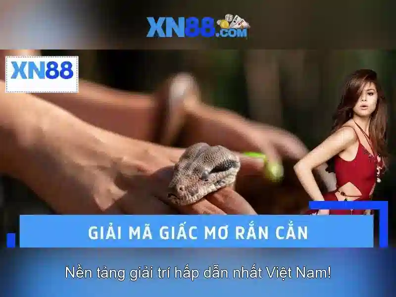 Giới thiệu về xn88