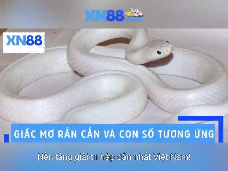 Giới thiệu về xn88: tổng quan về nền tảng, tính năng và an toàn