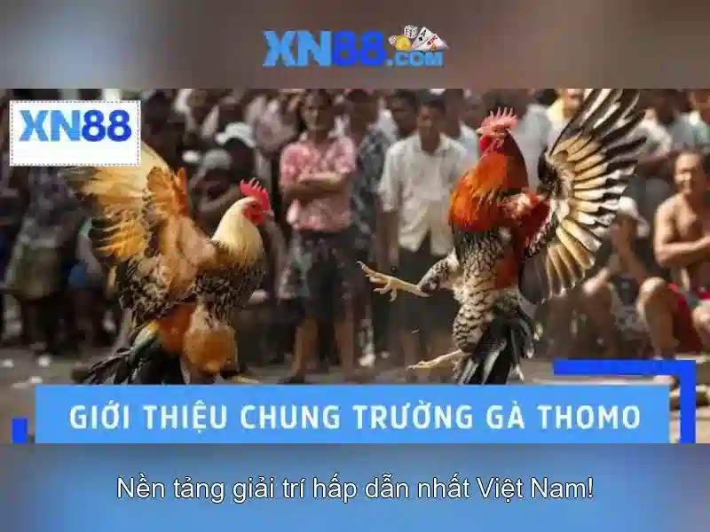 Mẹo chơi bắn cá 3 cây dễ ăn tiền nhà cái